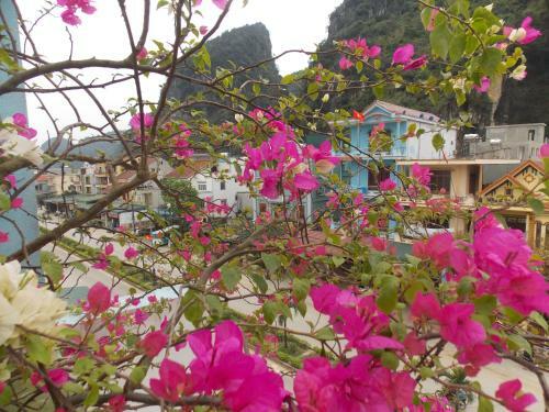 Hotel Rose Poshtel