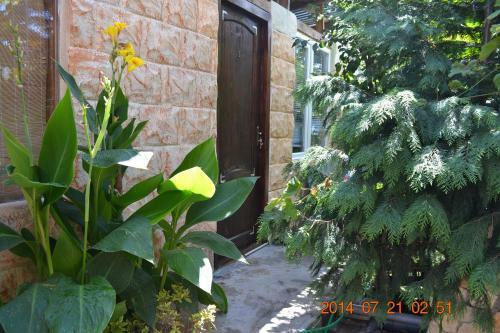 Hostal U Palycha Guest House