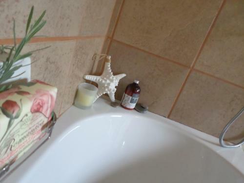 Hostal Rose & Ivy Guesthouse