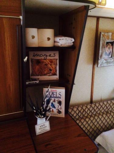 Hostal Kalahari Camelthorn Camping And B&B