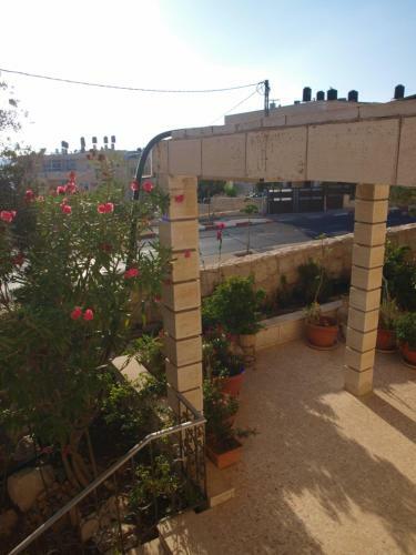 Apartamento Zalatimo