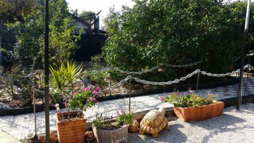 Asbn Magic Garden