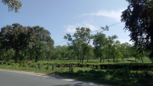 Chang Ghar
