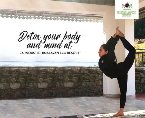 Hotel Carnoustie Himalayan Eco Resort