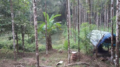 Aaranyakam Home Stay
