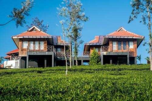 Hotel Wild Planet Jungle Resort
