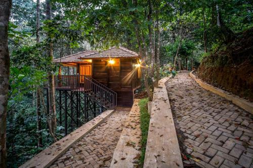 Hotel Wild Planet Jungle Resort