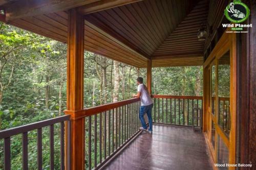 Hotel Wild Planet Jungle Resort