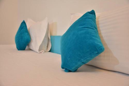 Albergue Elephant Pushkar