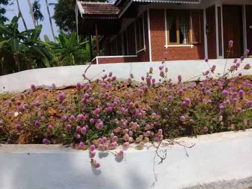 Blue Wings Home Stay