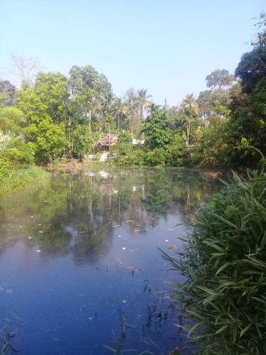 Blue Wings Home Stay
