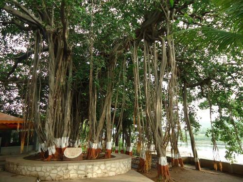 Hotel Ras Resorts