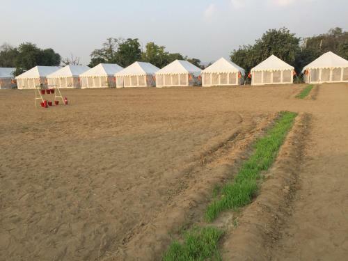 Pushkar Desert Camp
