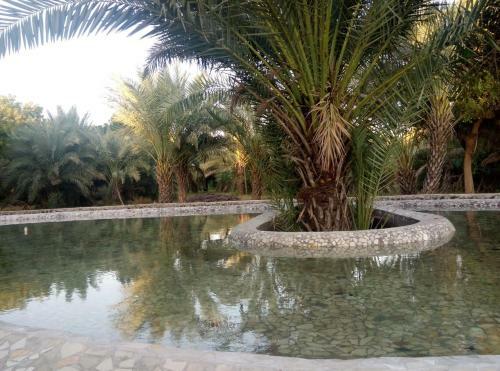 Hotel Amrut Bagh Resort