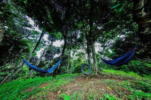 Aadhavana Homestay - Sakleshpur