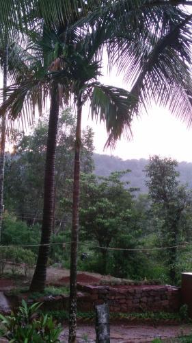Surekoppa Home Stay