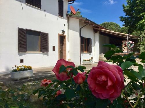 Apartamento Casa Lando