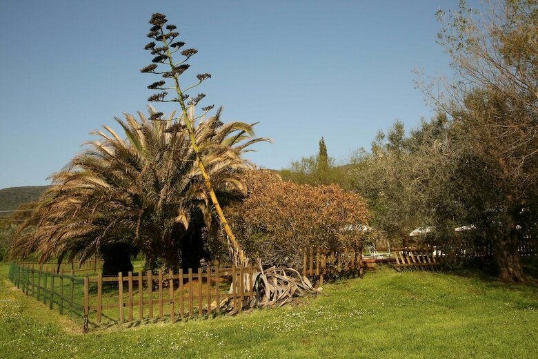 Agroturismo Casale Vigna Carbona