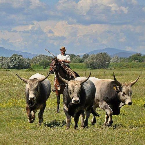 Agroturismo Casale Di Vulci