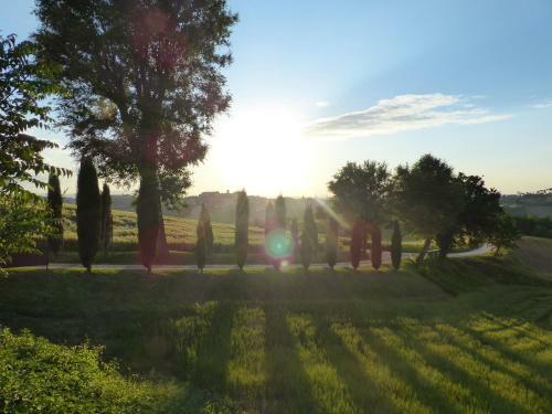 Tenuta Paradiso Sundown