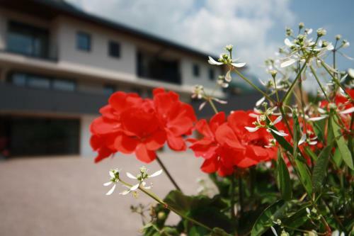 Apartamento Tholr - Ferienwohnungen - Tramin