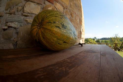 Agroturismo Agriturismo San Fedele