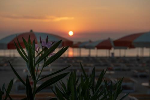 Hotel Haway