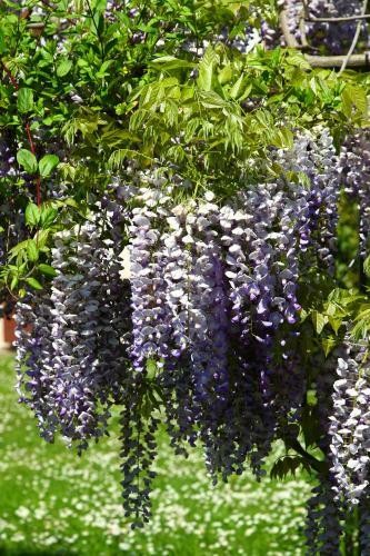 Bed & Breakfast Villa Delle Meridiane