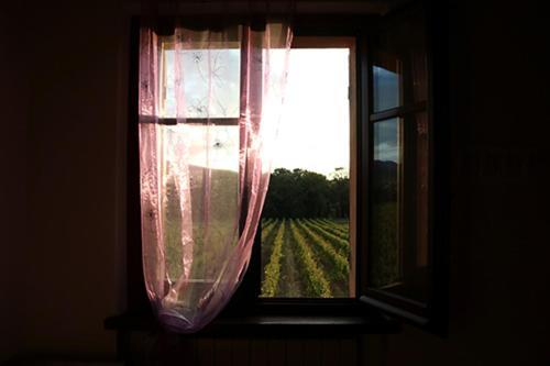 Bed & Breakfast Casale Rialto