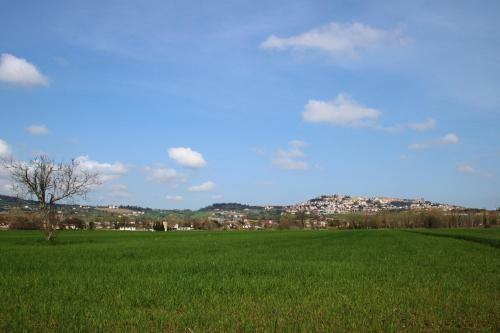 Bed & Breakfast Alla Bigattiera