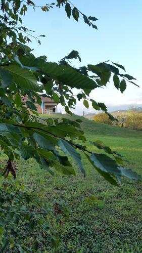 Confinedeisanti B&B