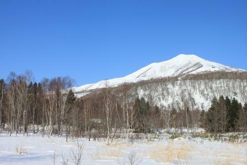 Hostal Niseko Guesthouse Nalu.