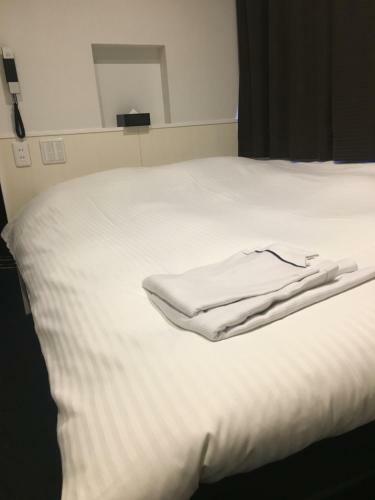 Nagoyaeki Access Hotel