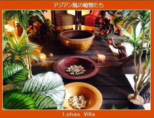 Hostal Lohas Villa