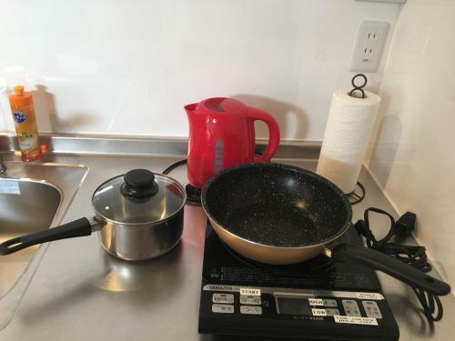 Apartamentos Fuji Scenic House 73