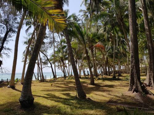 Kivulini Diani Beach Front Villa's & Cottages