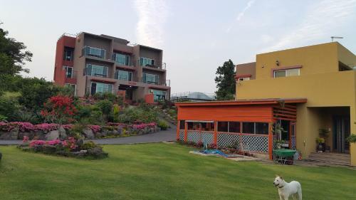 Oasis Pension