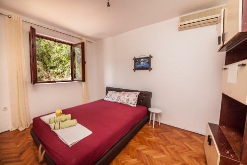 Hostal Alex Guesthouse