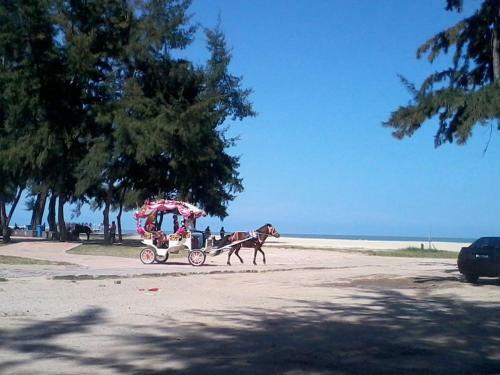 Vistana Oasis Homestay