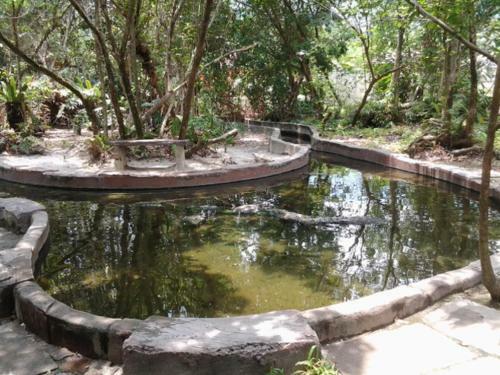 Alisa Homestay