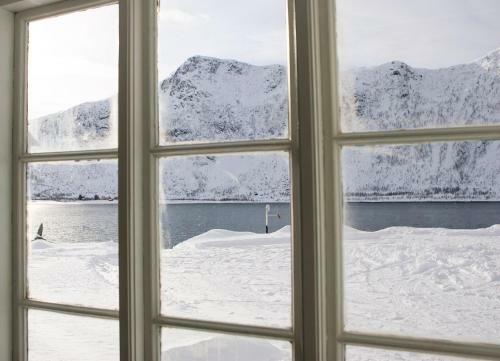 Northern Light Hotell/camp Steinfjord