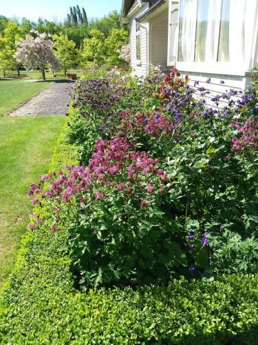 Hurunui Homestead Bed And Breakfast