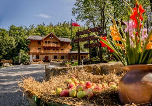 Hostal Willa Orle Gniazdo