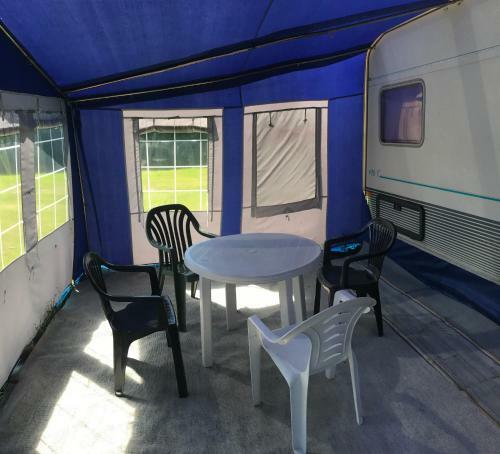 Camping - Park W?adys?awowo