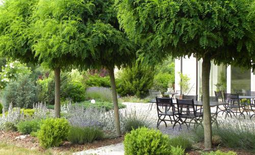 Agroturismo Villa Orlik