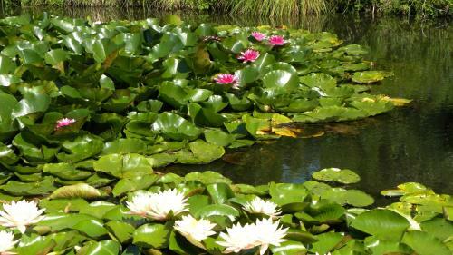Agroturismo Villa Orlik