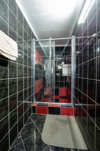 Hostal Pension Motanul Galanton