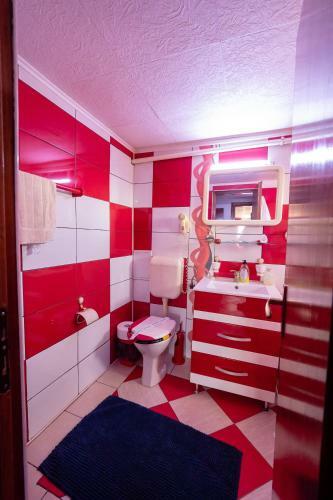 Hostal Pension Motanul Galanton