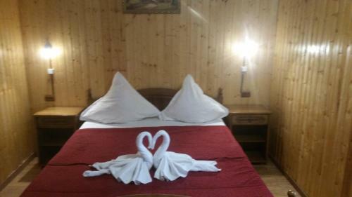 Hostal Complex Dracula & Spa