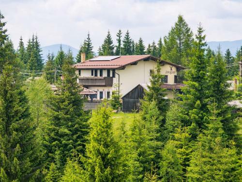 Hostal Pensiunea Vis Alpin Belis